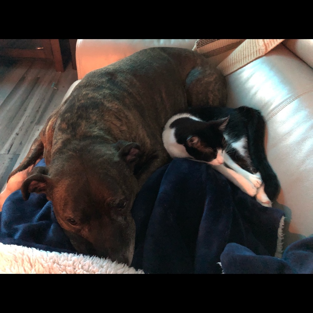 Meet your Posher, Amanda